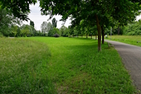 Greenway_a