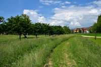 Greenway_c