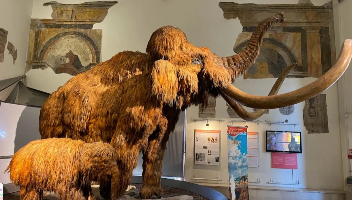 Ingresso del museo di scienze naturali